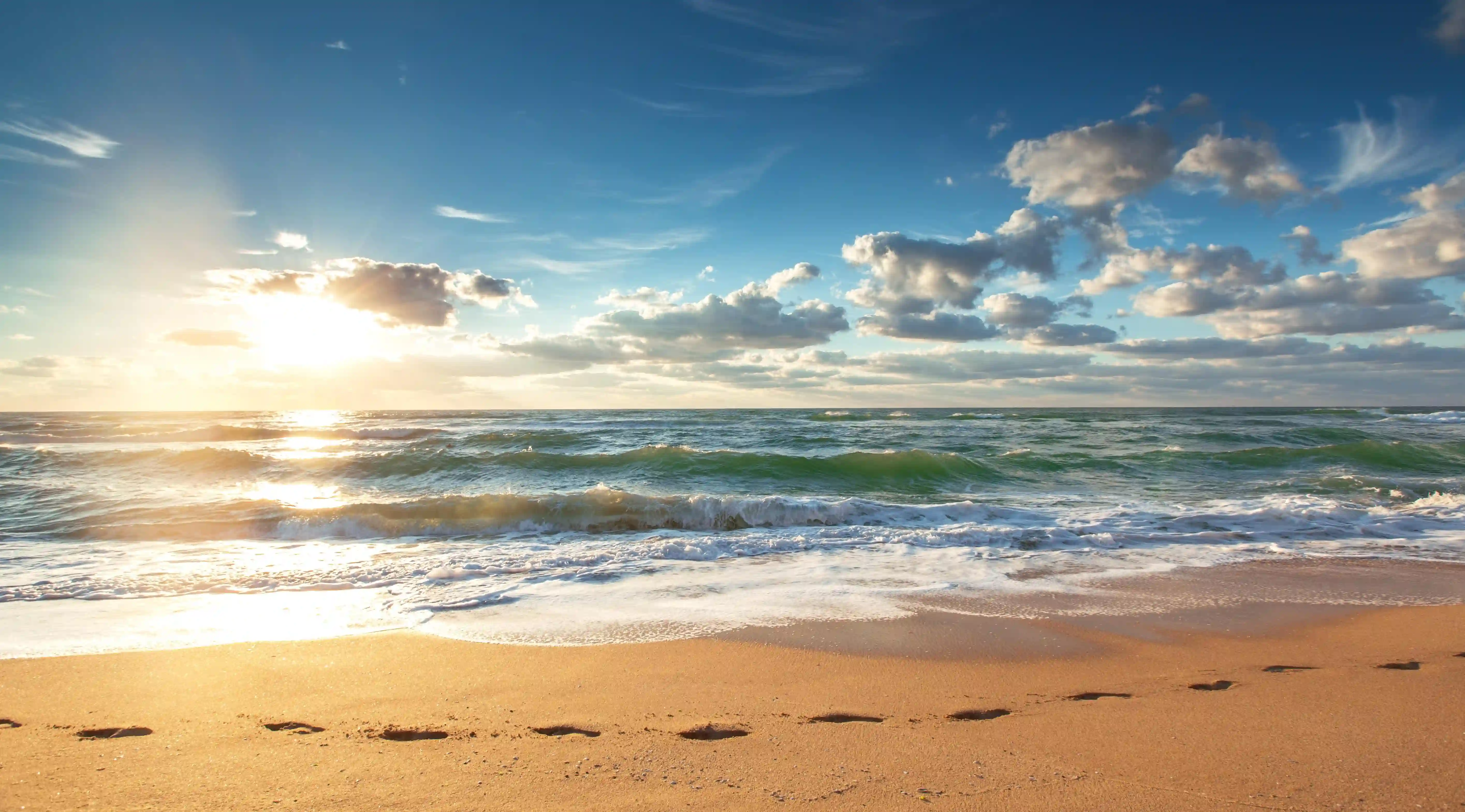 運動能否局部減肥？揭示五大有效方法，讓你擺脫贅肉煩惱！