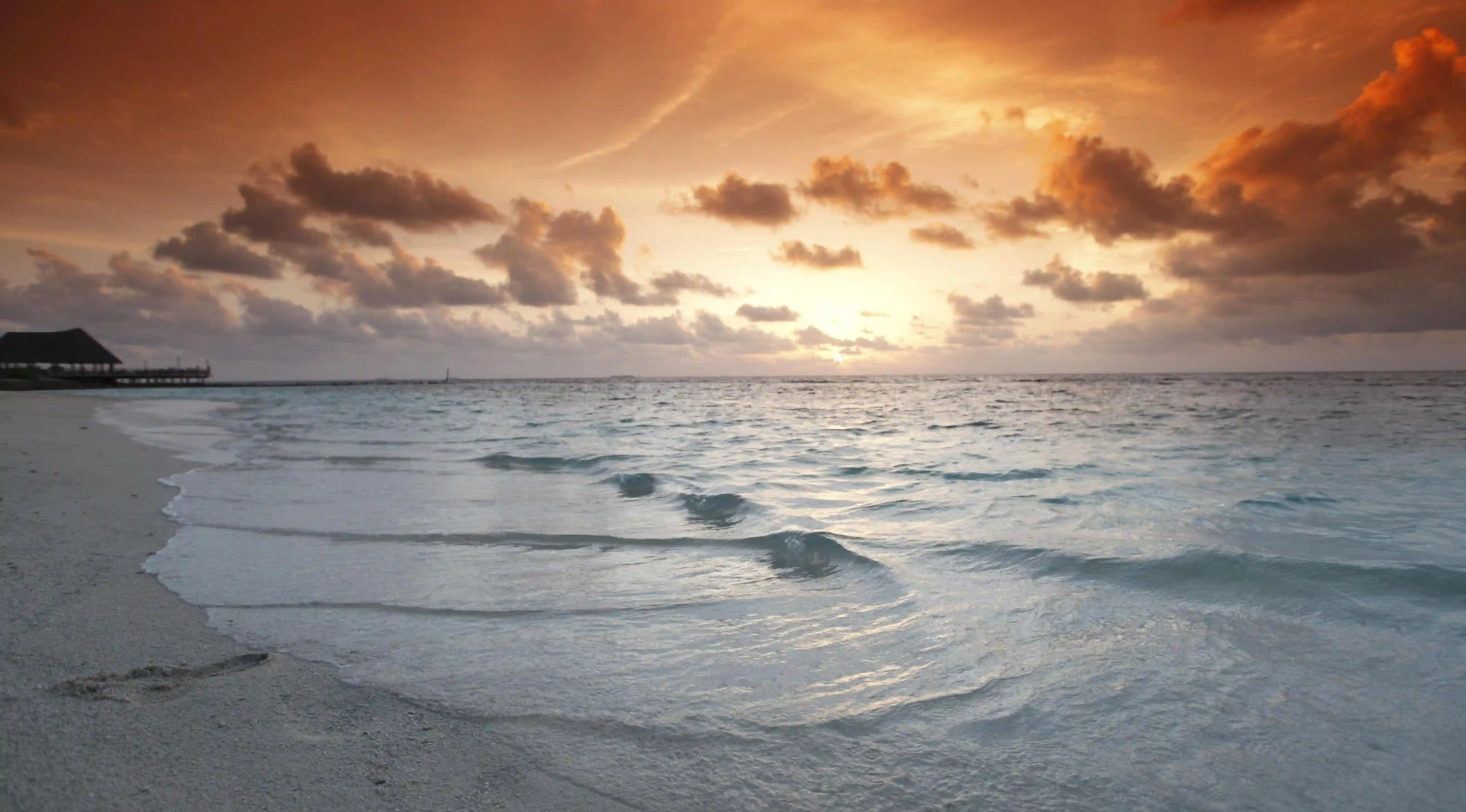 揭開拔罐減肥的神秘面紗：你不知道的五大原理與效果