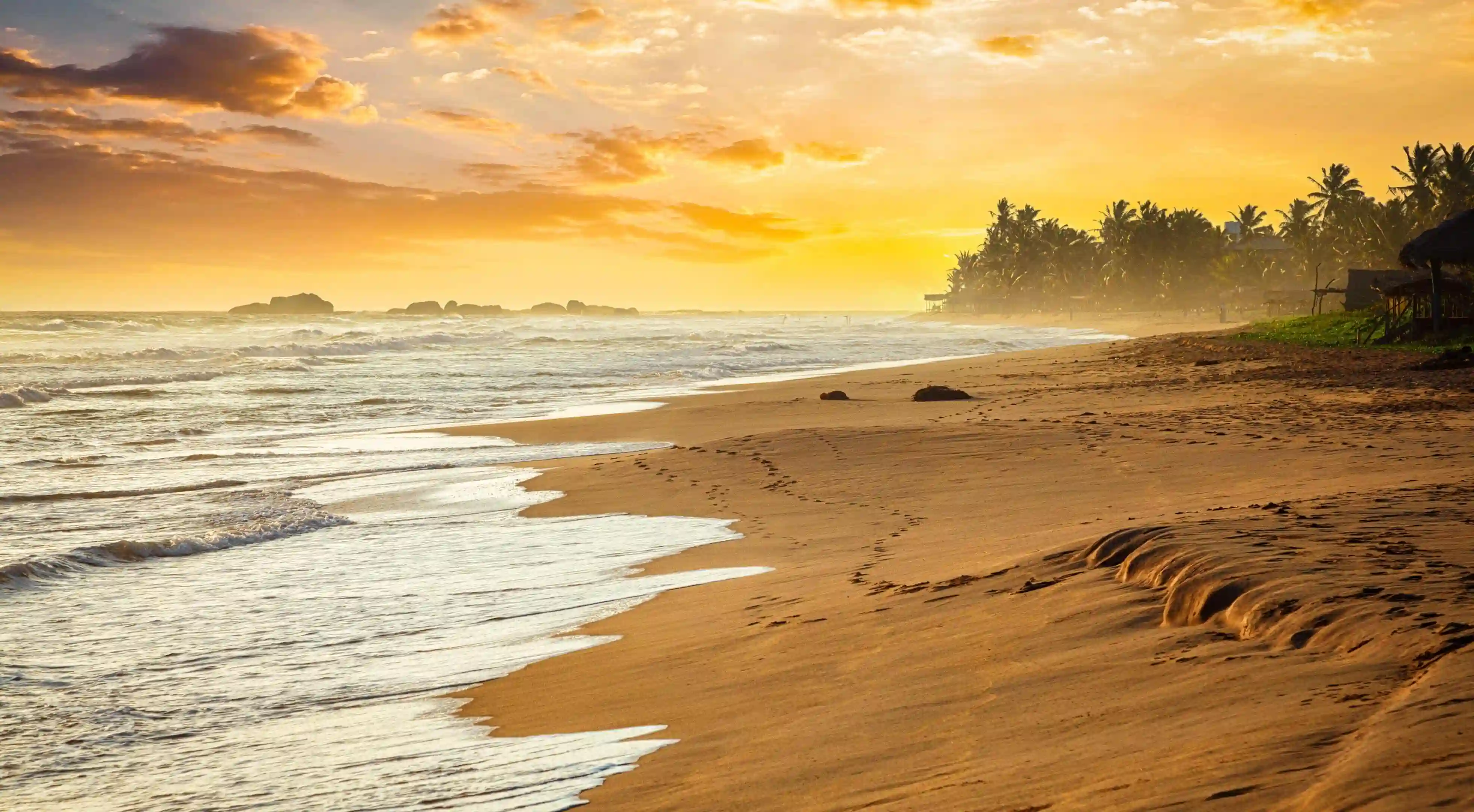 揭開減肥運動的秘密：五種強效運動讓你輕鬆瘦身！