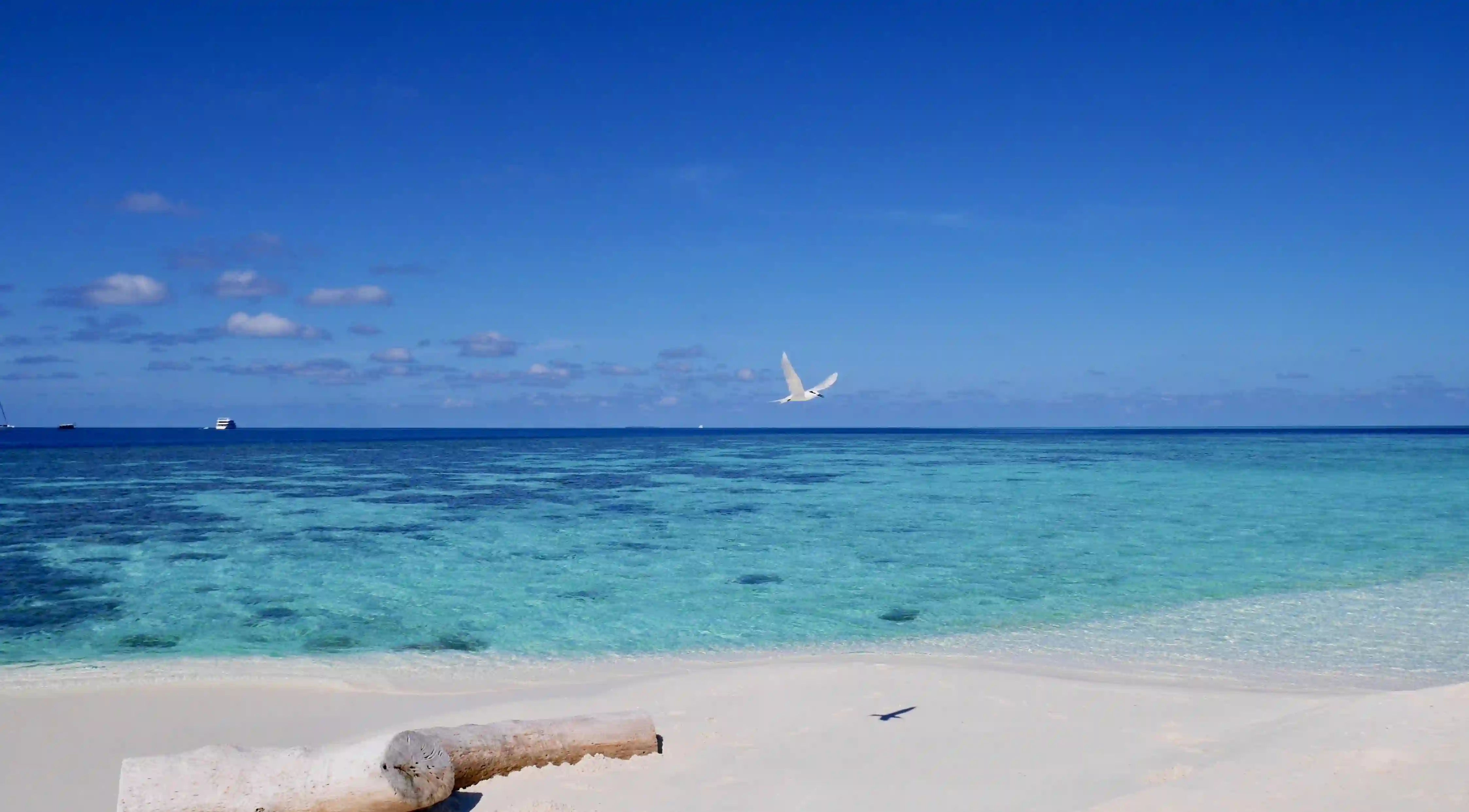 揭開動感單車的秘密：5個你不知道的減肥好處！