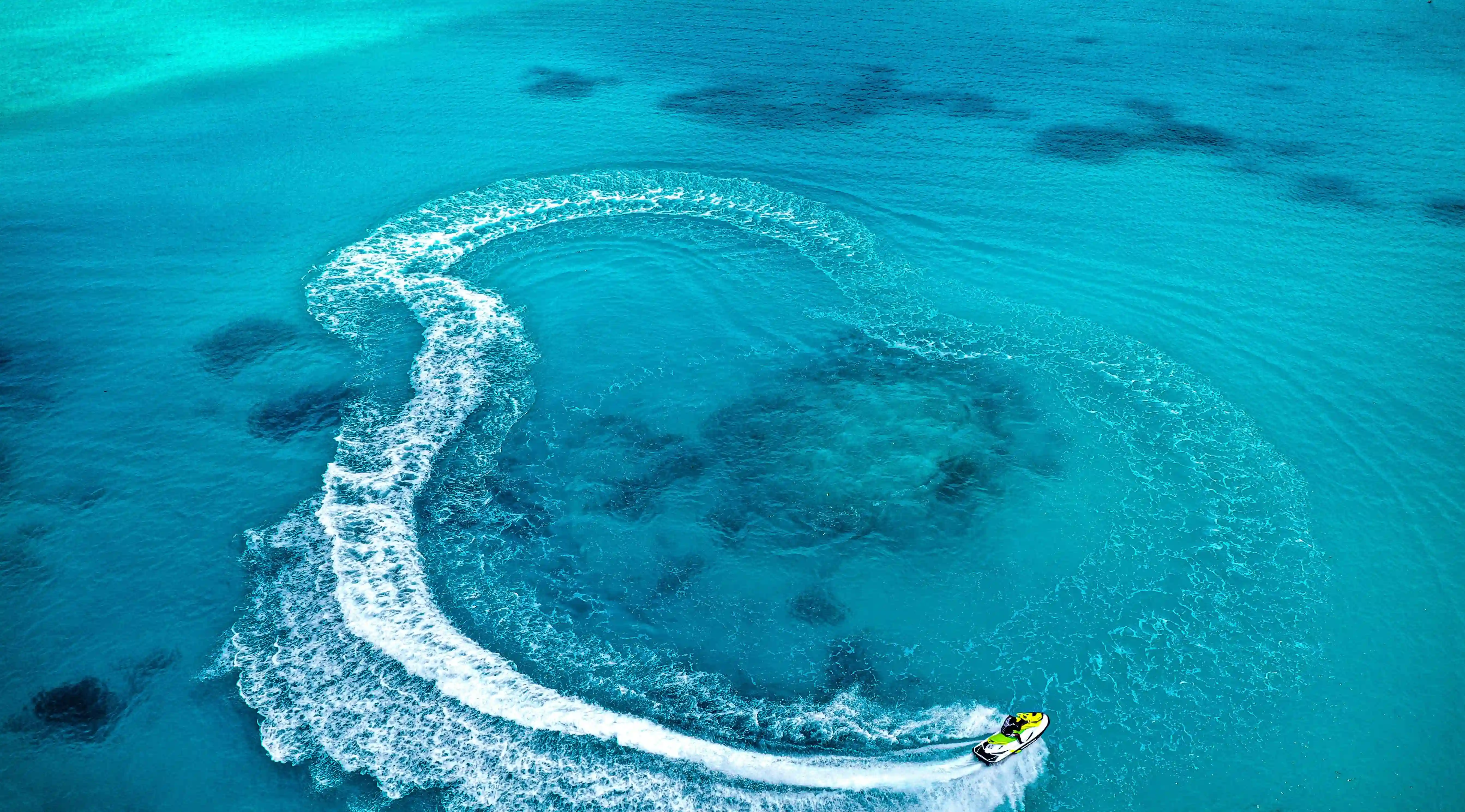 揭開減肥的秘密：25種中藥花茶助你輕鬆瘦身