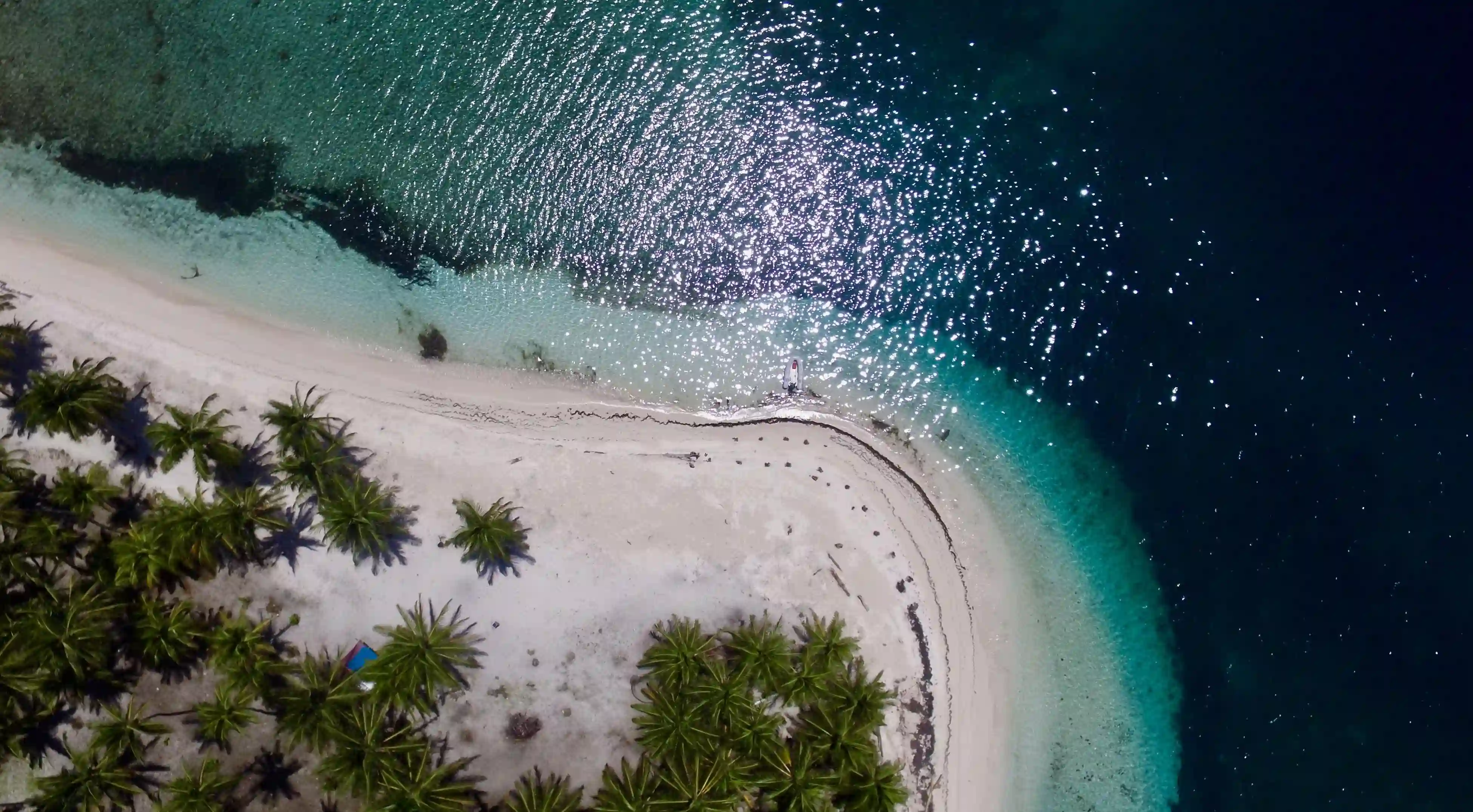 跳繩 vs. 跑步：哪種運動更能快速減重？揭開真相！