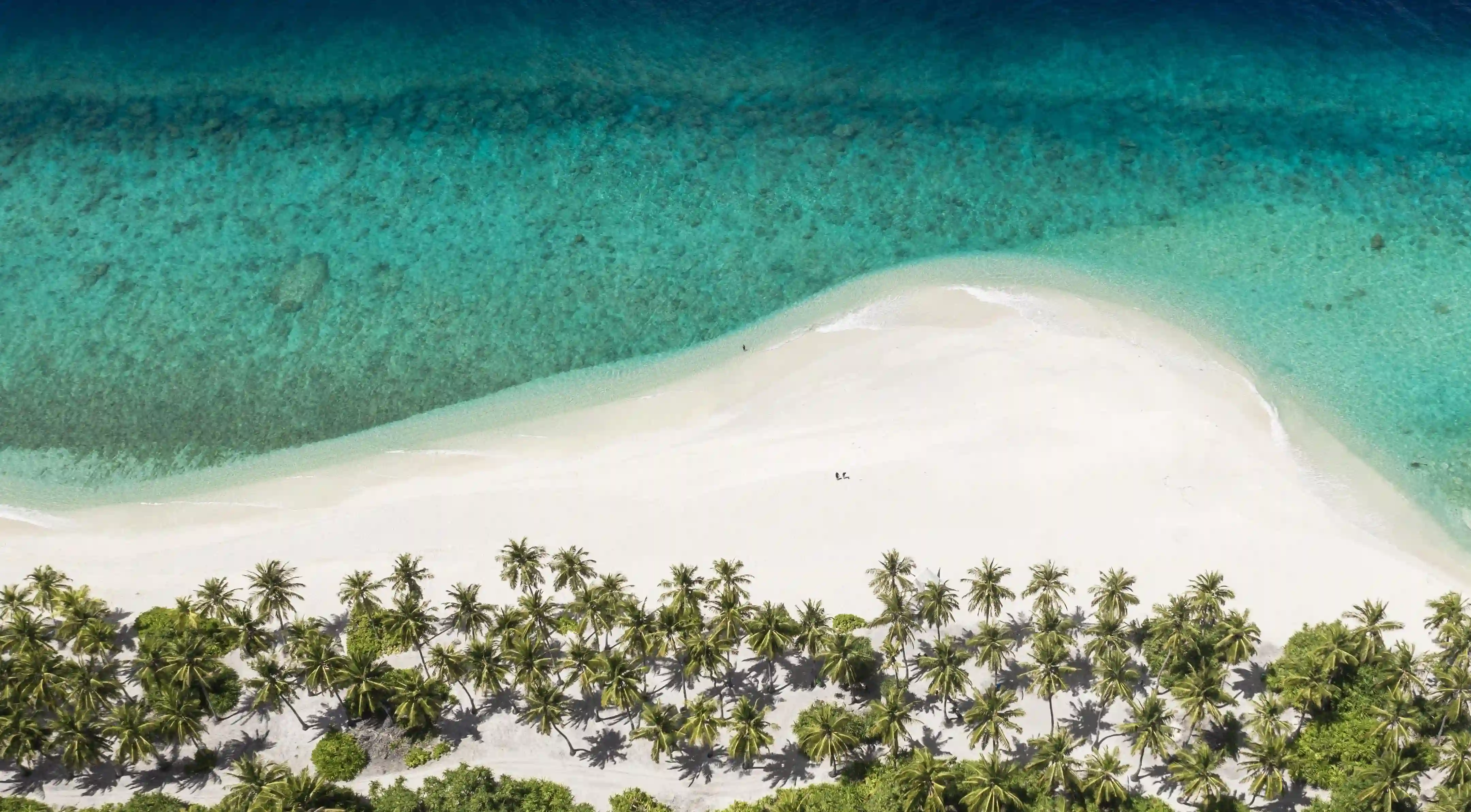 打籃球減肥的真相：你不知道的五大效果與技巧