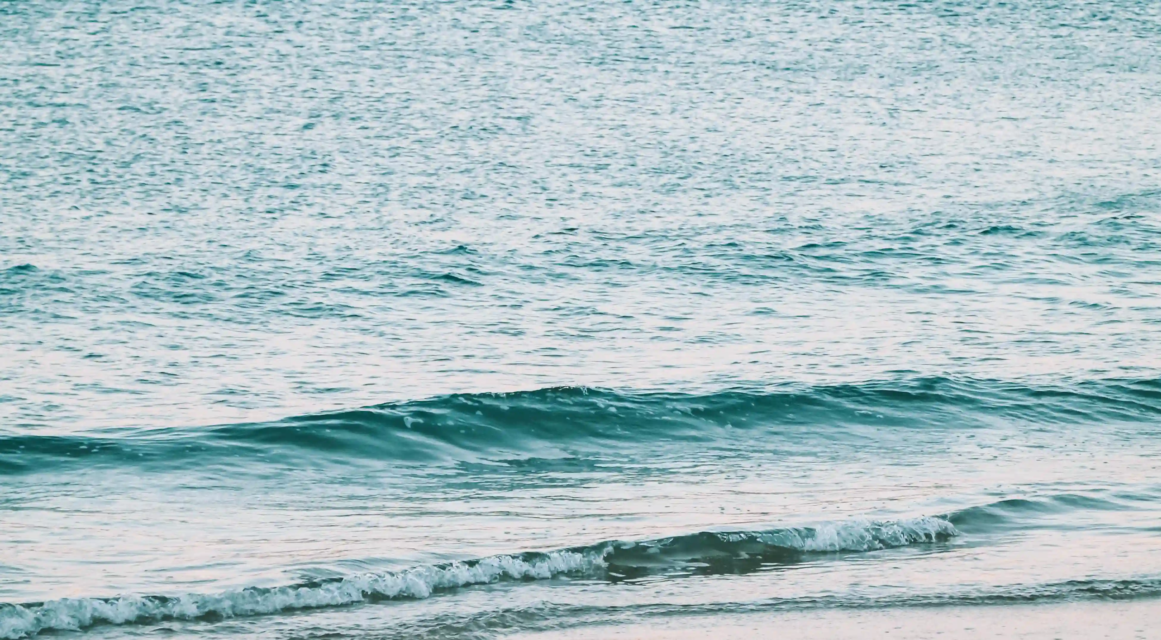 揭開神秘面紗：拔罐瘦身膏真的這麼有效嗎？