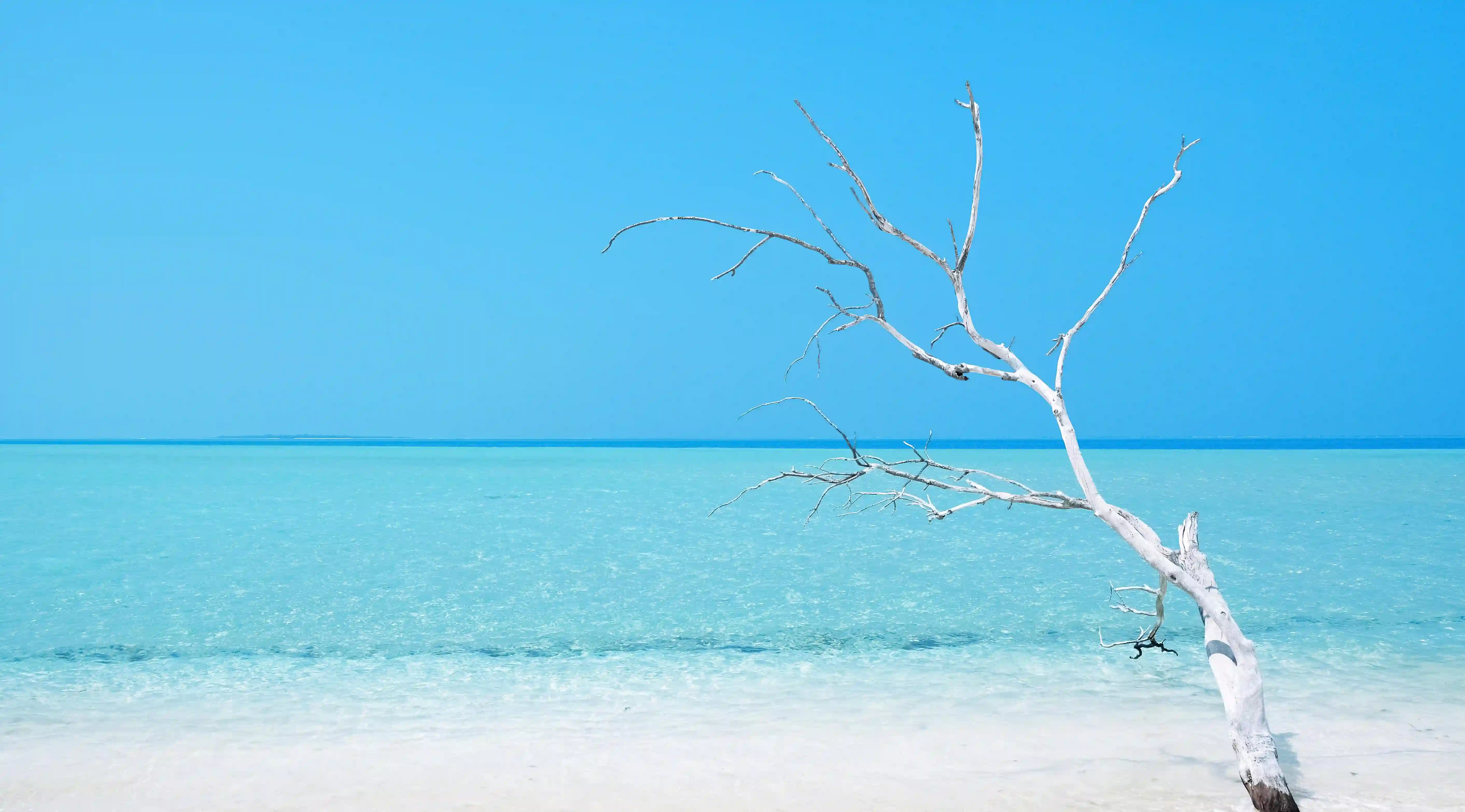 如何在家輕鬆瘦腿？五個睡前運動幫你打造纖細雙腿！