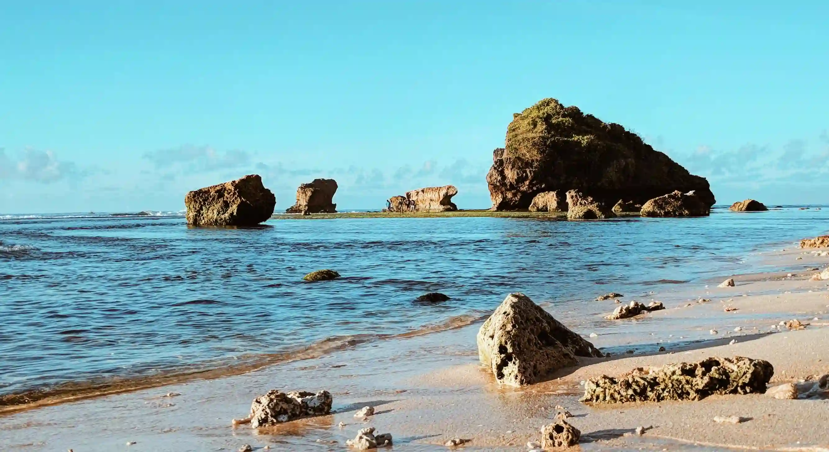 揭開老中醫瘦身湯的秘密：五大中藥成分助你輕鬆減重