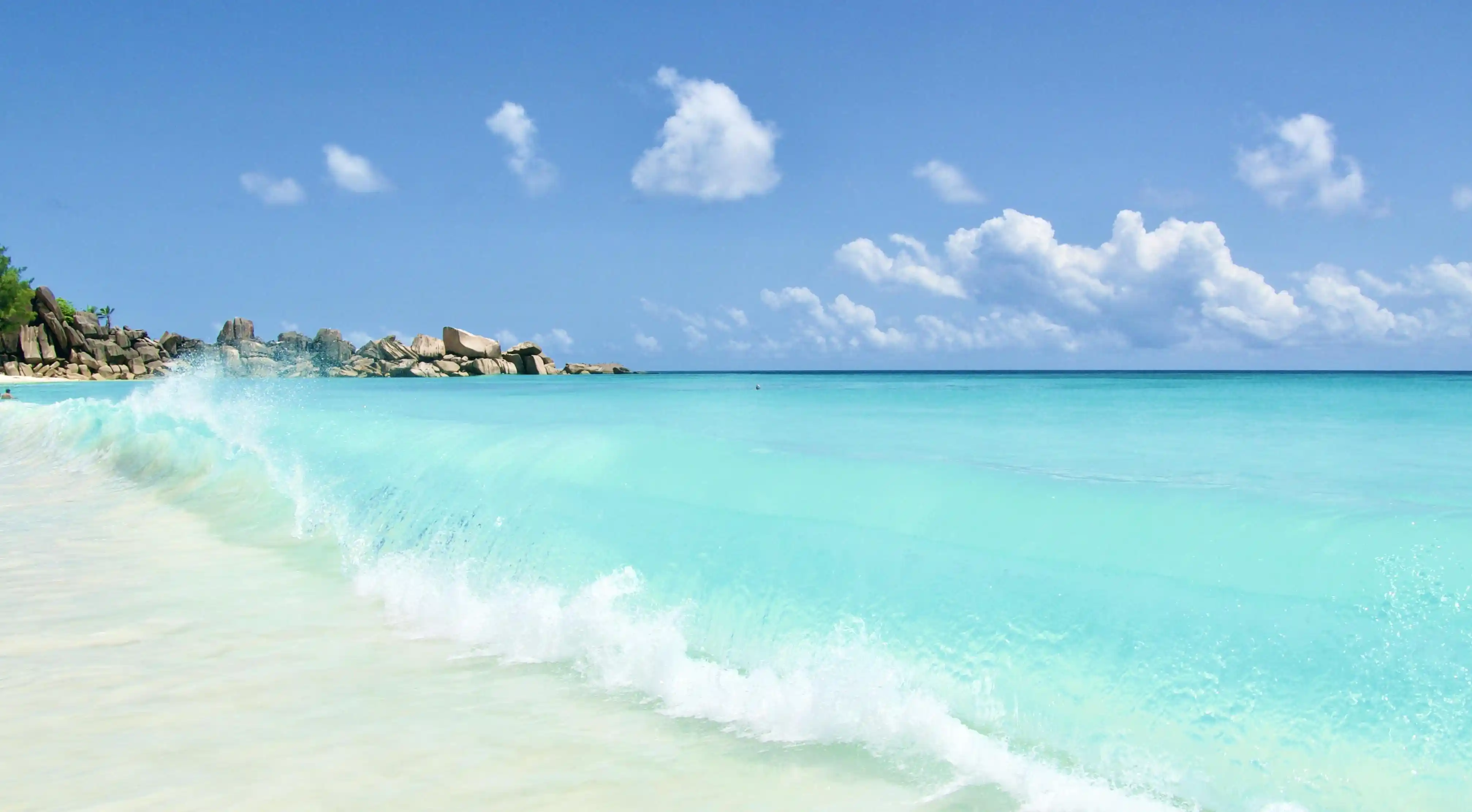 揭開中醫減肥的真相：五個你不知道的關鍵因素