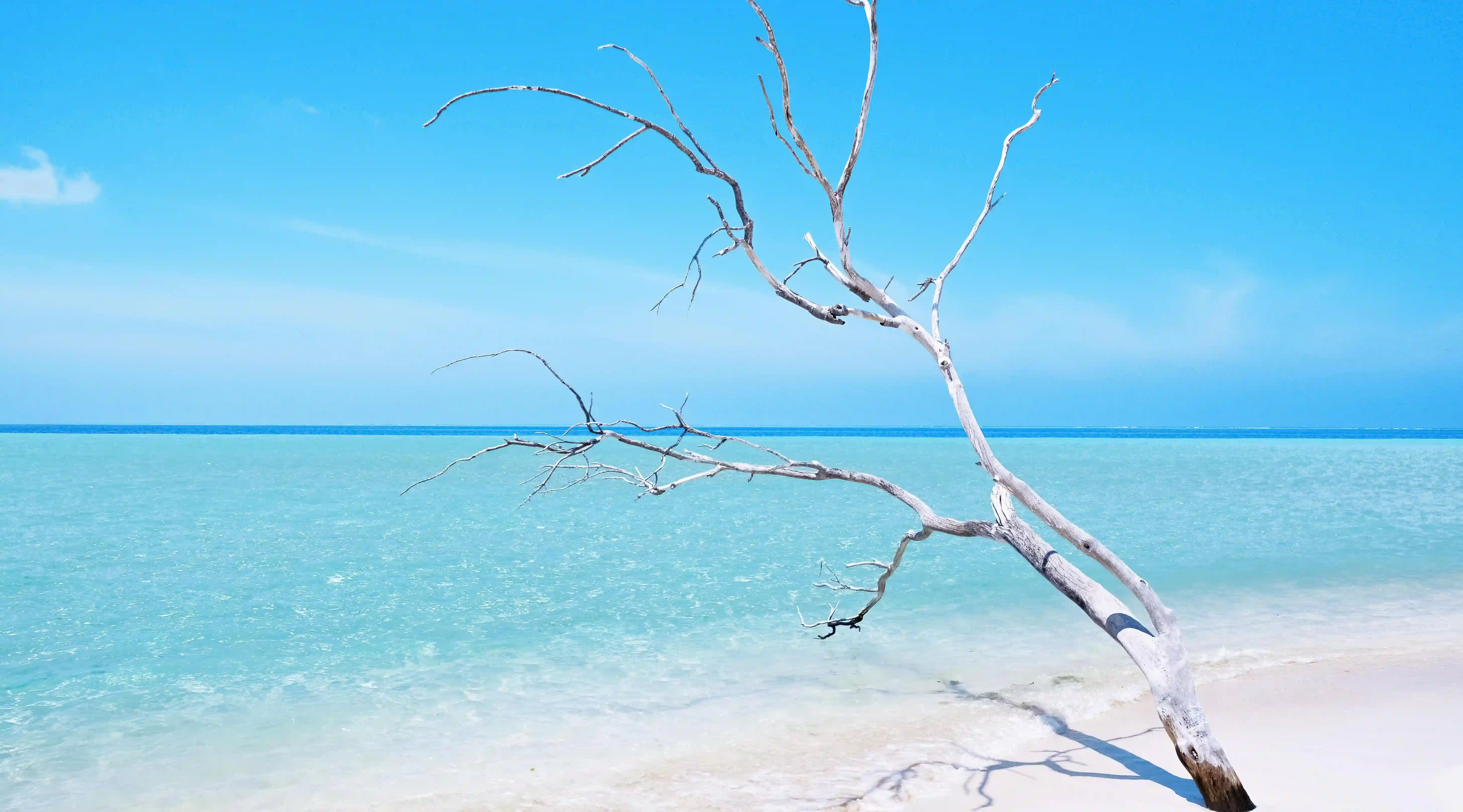 減肥的秘密武器：為什麼跑步是最有效的減肥方法?