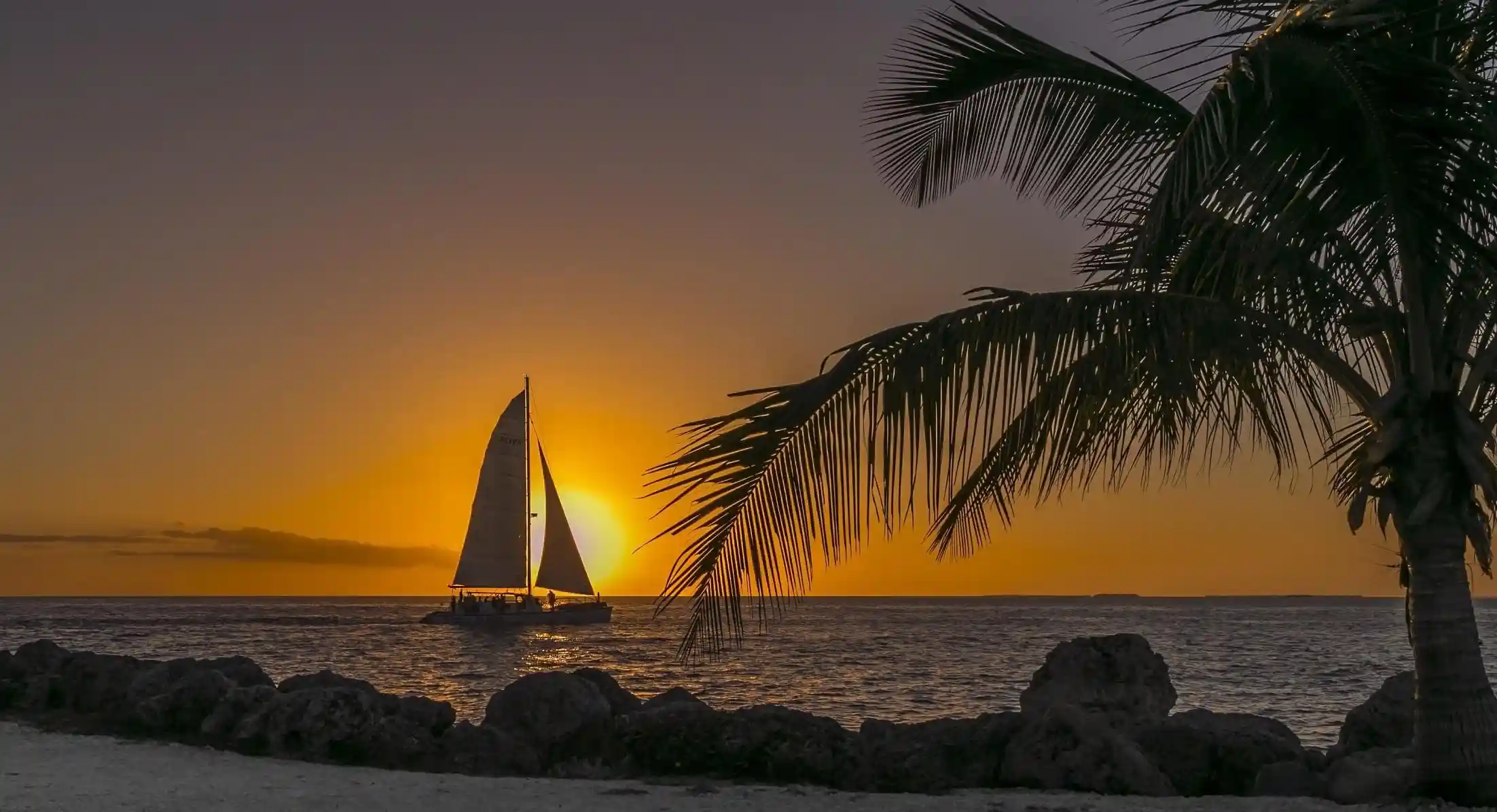 想知道拔罐減肥的真相？這五個不為人知的事實將改變你的看法！