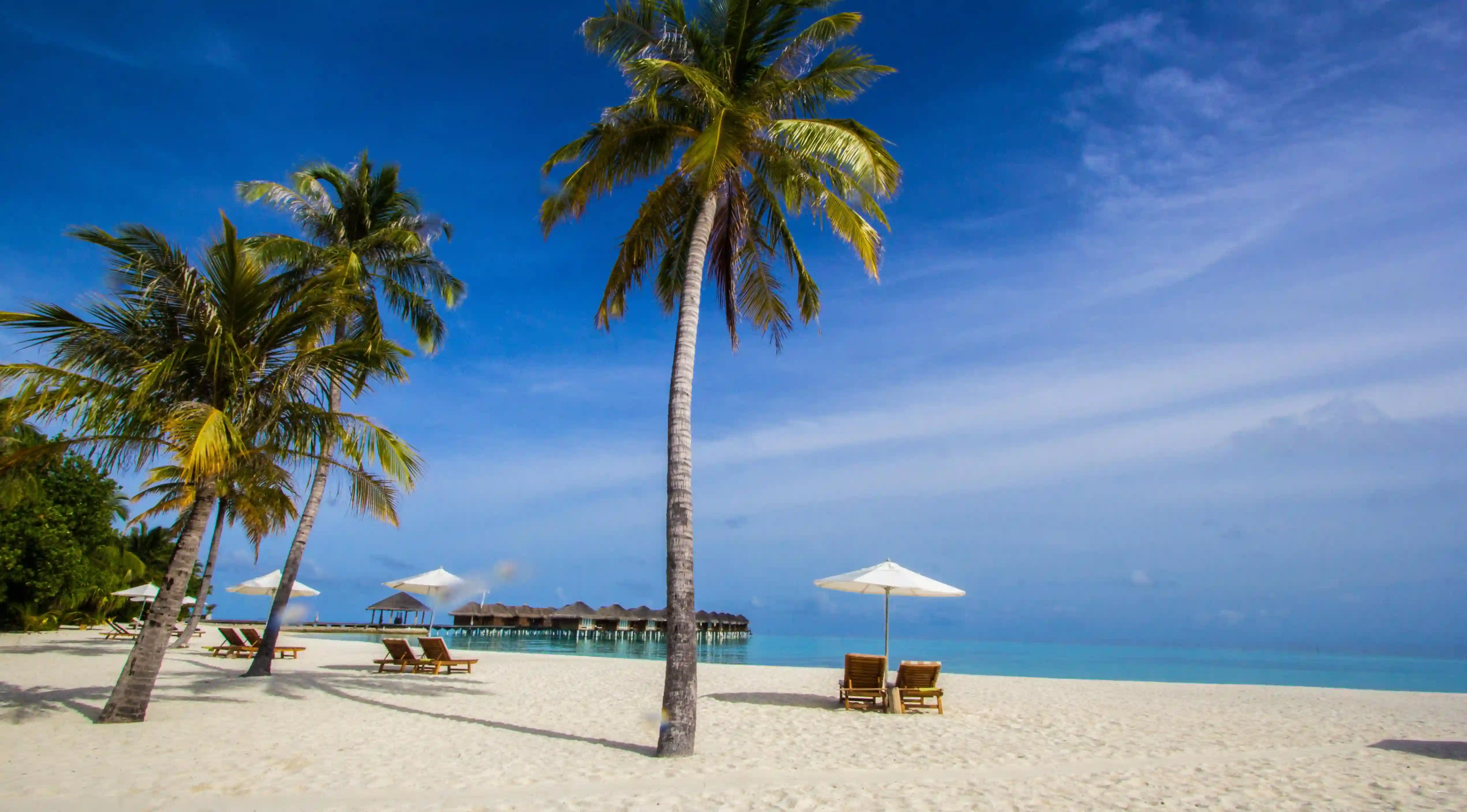 告別粗腿：五個必學的瘦腿運動與技巧