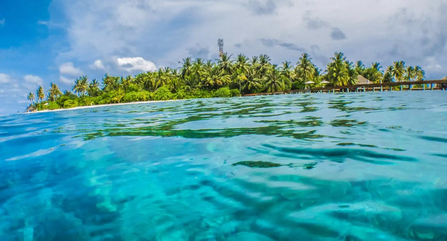 五個運動減肥秘訣，讓你在家也能輕鬆瘦身