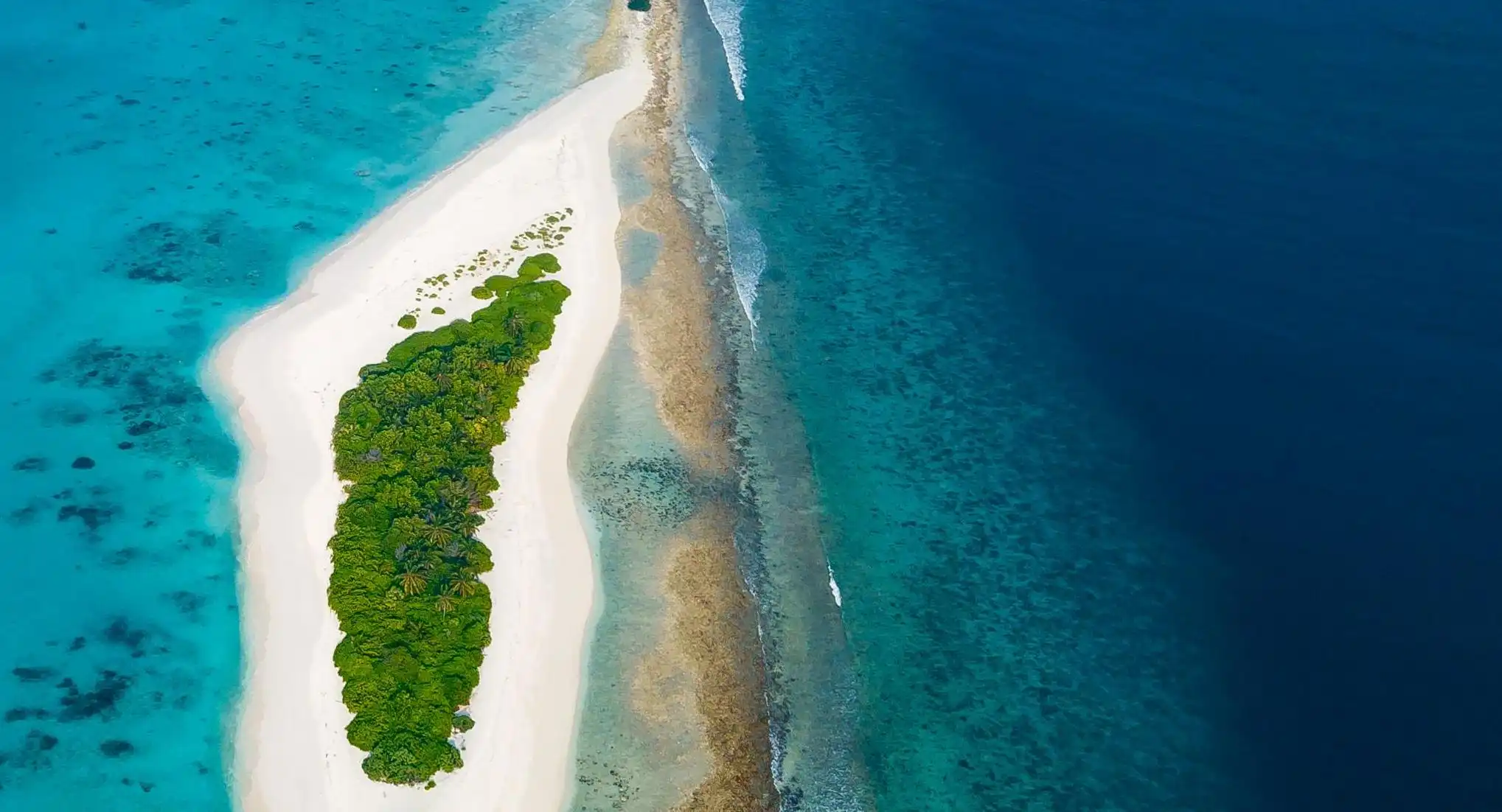 運用穴位埋線減肥的成功秘訣：你必須知道的五大護理技巧