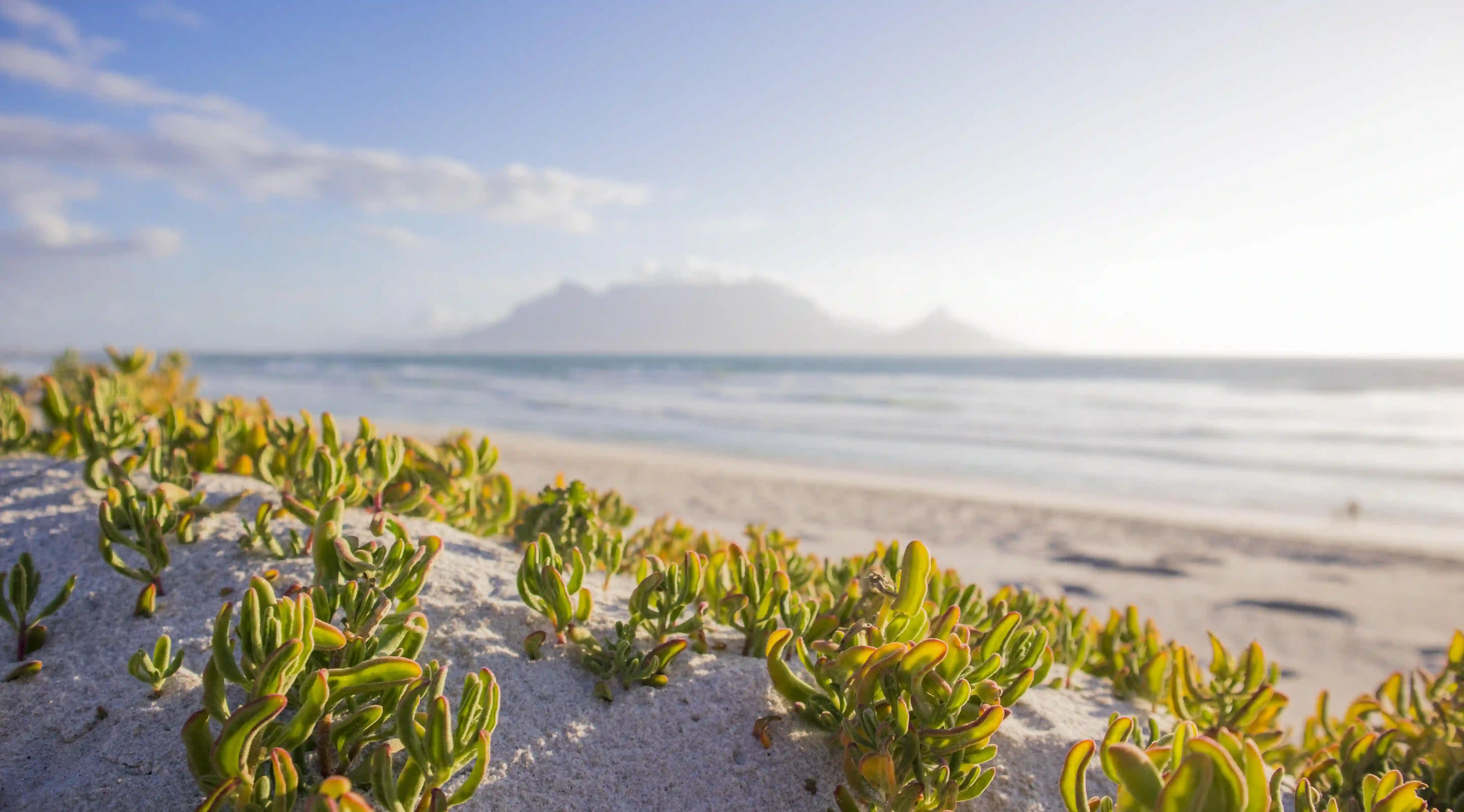 如何有效減脂？揭示五個你從未聽過的瘦腰瘦腿運動秘密