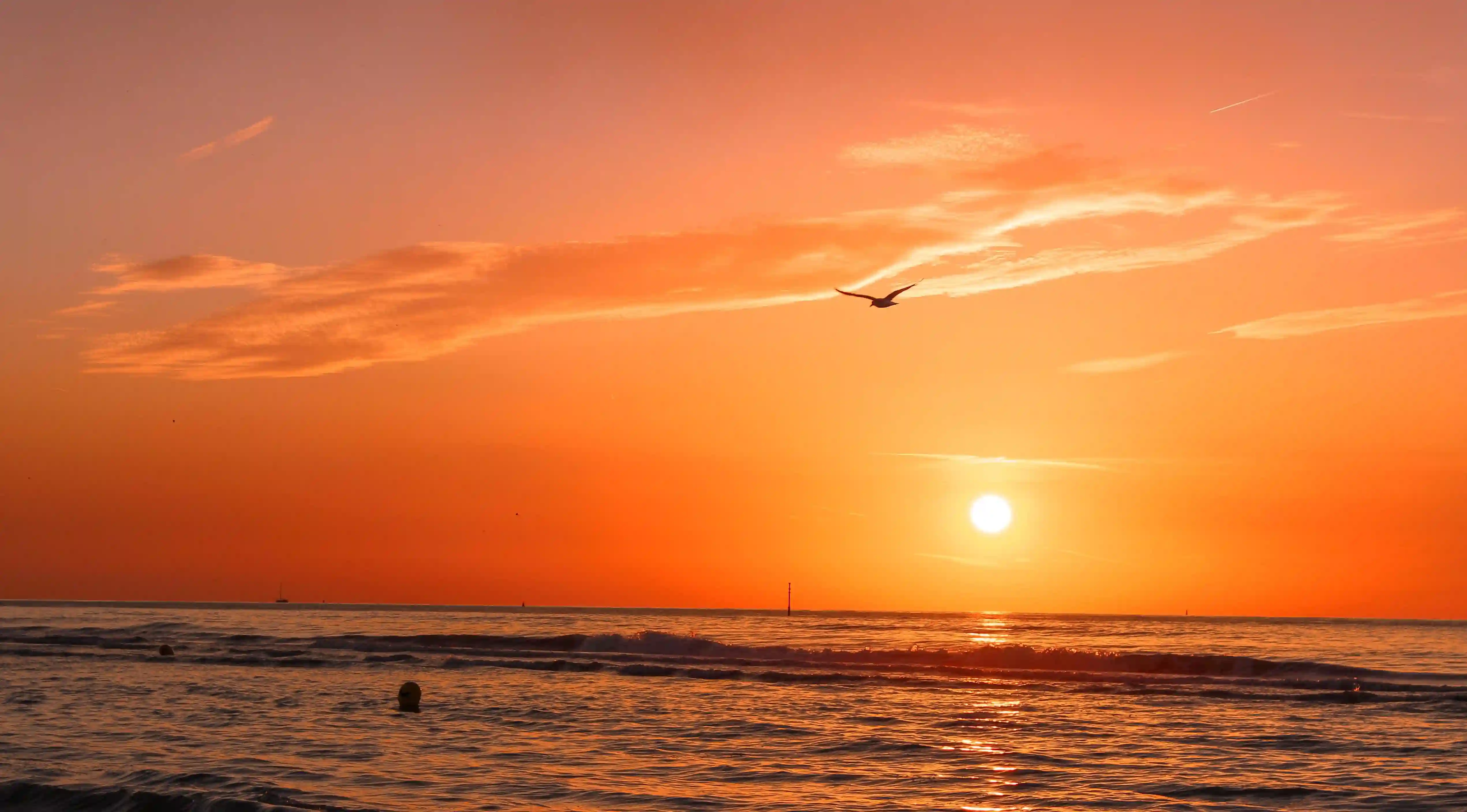 跑步減肥的秘密：為什麼晚上跑步效果最佳？