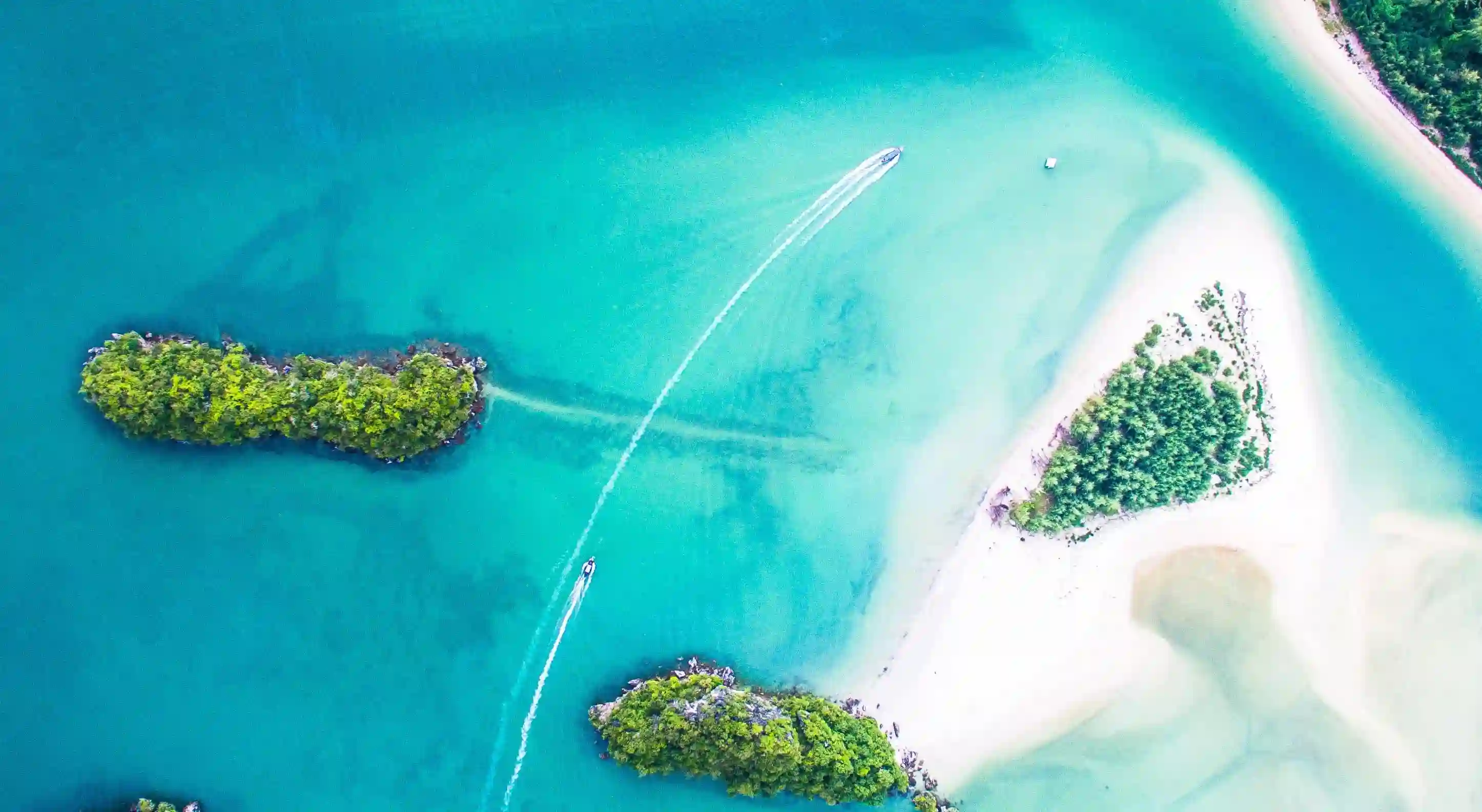 五個有效運動，讓你輕鬆擺脫贅肉，重獲自信！