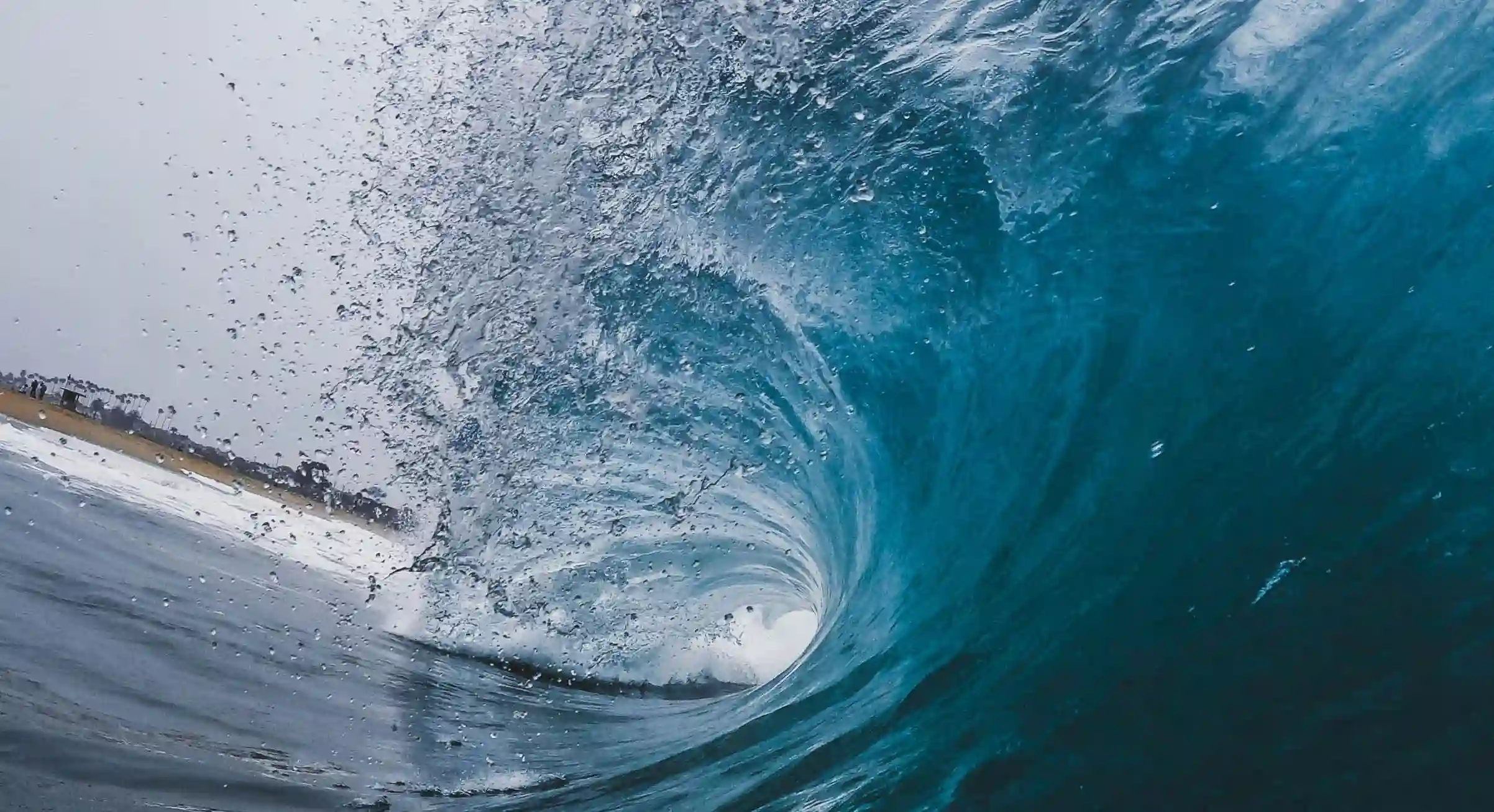 揭開減肥運動的真相：五個關鍵讓你更有效地瘦身